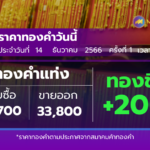 ราคาทองวันนี้ 14 ธ.ค.2566 รับซื้อ 33,700.00 บาท ขายออก 33,800.00 บาท